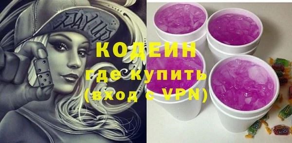 прущие грибы Михайловск