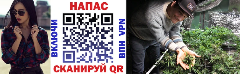 Конопля Bruce Banner  Алушта 